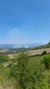 Osmaniye’de orman yangını başladı