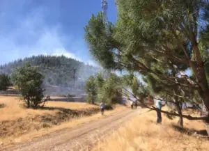 Kahramanmaraş’ta orman yangını