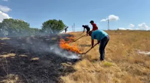 Karabük’te anız yangını söndürüldü