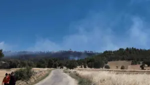 Kütahya’daki orman yangınınnı söndürme çalışmaları devam ediyor