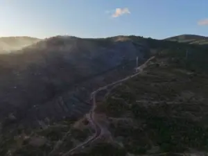 Kocaeli’deki orman yangını söndürüldü