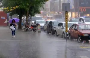 Erzincan için kuvvetli rüzgar uyarısı