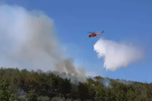 Muğla orman yangını söndürme çalışmaları sürüyor