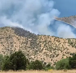Van’da orman yangını: Ekipler zorlu arazide yürüyerek gitmeye çalışıyor