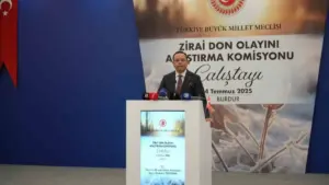 Tarım ve Orman Bakan Yardımcısı Gizligider: “Türkiye’de ortaya çıkan yangınların yüzde 83’ü insan kaynaklı”