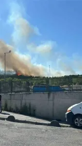 Kocaeli’de orman yangını çıktı