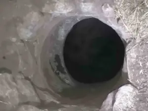 Mardin’de kuyuya düşen keçi kurtarıldı