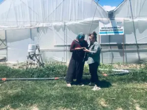 Niğde’de KOP destekli seralarda üretim başladı