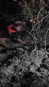 Hatay’da çıkan orman yangını kısa sürede kontrol altına alındı
