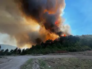 Sındırgı’daki orman yangınını söndürme çalışmaları sürüyor