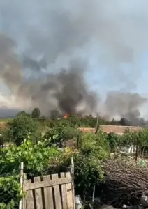 Yerleşim yerine yaklaşan alevler korkuttu