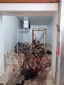 Gemlik’te sağlıksız şartlarda istiflenmiş çok sayıda hayvan kafası bulundu